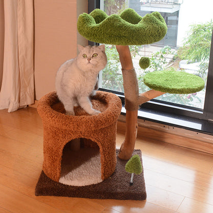 Natural Fruitwood Hollow Cat Tree